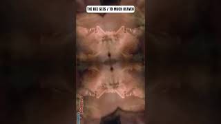 The Bee Gees  Too Much Heaven  kaleidoscope  Version kaleidoscope kaleidoscopic