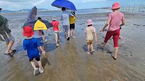 Trải nghiệm bắt cá bao đăng Đồi Nhái - Vũng Tàu cùng các bạn nhỏ.