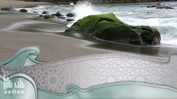 ما تيسر من سورة النمل - الشيخ ياسر سرحان الديب