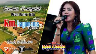 New Pallapa - Cinta berawan