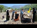 Nomadic life in the heart of the mountains | Spraying goats and trying to survive in nature