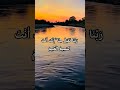 Viral islamic shorts #islamicshorts #islamicstatus #islamicreels #deenoverdunya #islamicreminder
