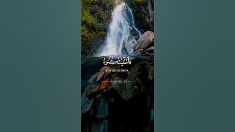 وأرسلنا الرياح لواقح فأنزلنا من السماء ماء فأسقيناكموه وما أنتم | سورة الحجر | القارئ عمير شميم