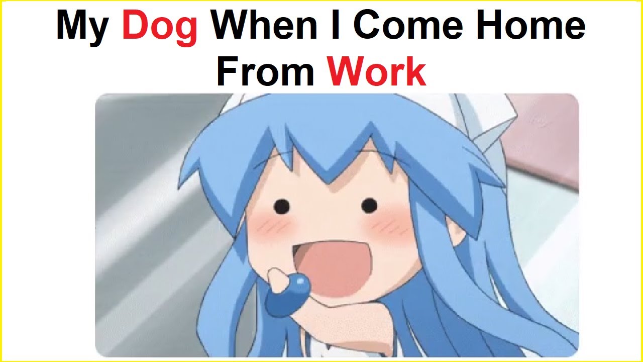 Funny Best funny Anime Memes by Laura Ganners