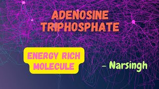 Adenosine Triphosphate (ATP) by Narsingh