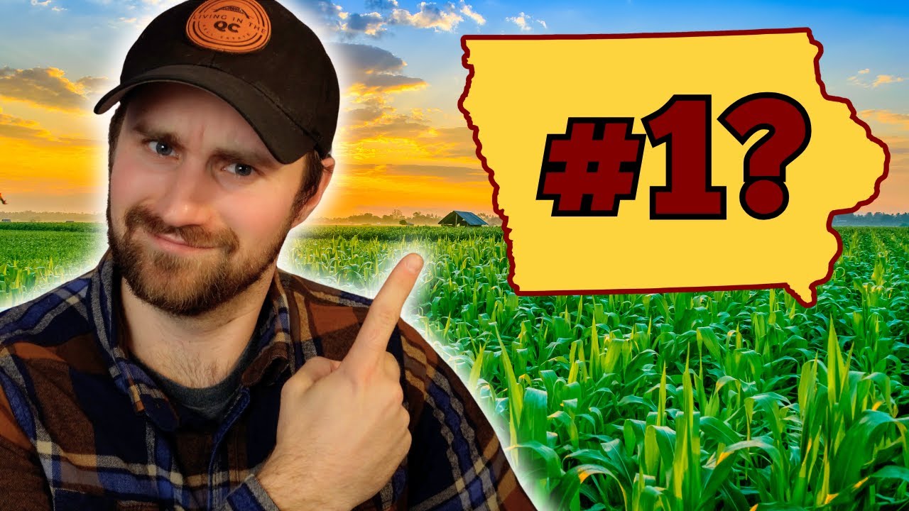 Как Айова ТИХО стала ЛУЧШИМ штатом для жизни