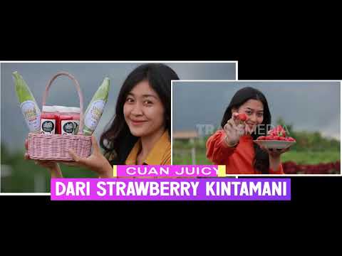 Strawberry Kintamani Hasilkan Cuan Juicy | CUAN BOSS