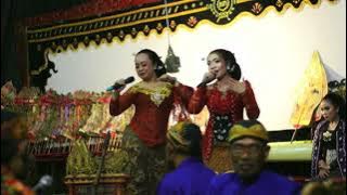 Dhalang Poer - Warung Ayu ( Live Performance )