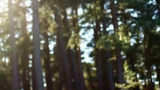 29 Марта В Межапарке :) Balhormea - Night Squall