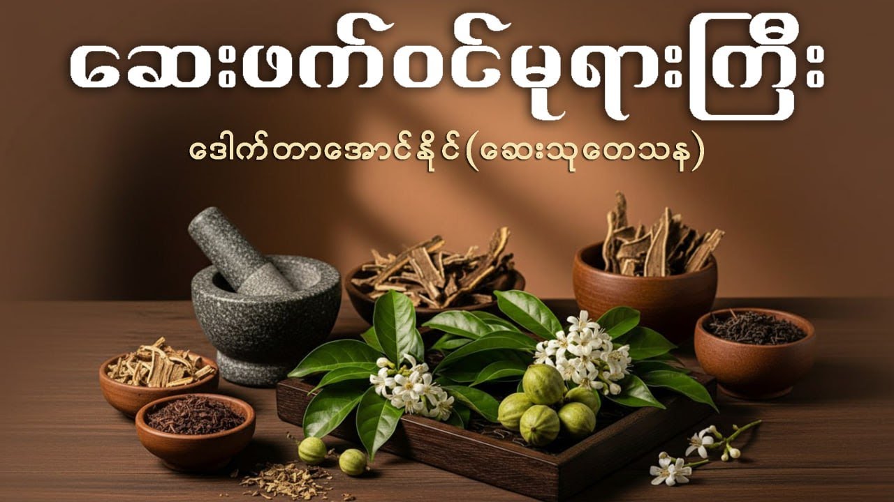 ဆေးဖက်ဝင် မုရားကြီး | ဒေါက်တာအောင်နိုင် (ဆေးသုတေသန)