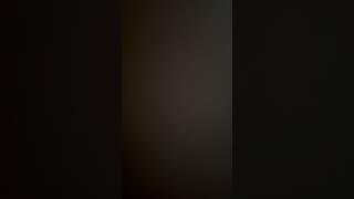 IMG 9533