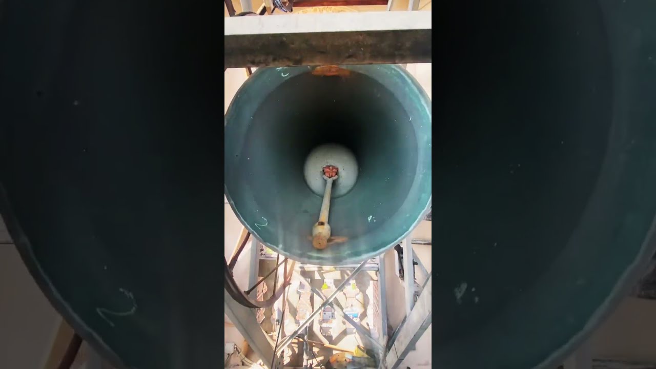 Bells Sound Nr 16 Shorts