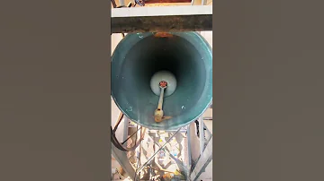 Bells Sound Nr 16 Shorts 