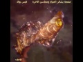 خلق و أبدع و اذهل العيون فهل من قائل سبحان الله 