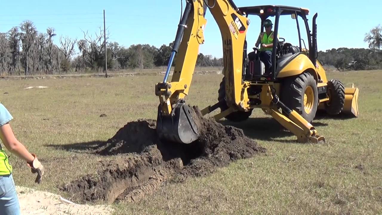 D7Now - Gopher Tortoise Relocation - YouTube