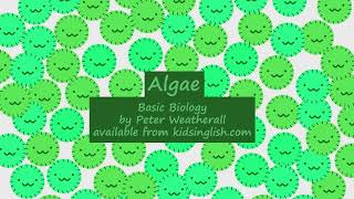 Algae by Peter Weatherall