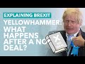 Leaked Government Document Reveals No Deal Consequences - Brexit Explained