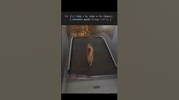 Orange cat the JavaScript of cats #coding #programming #javascript #python