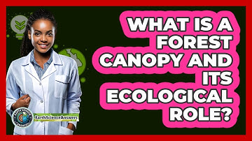 What Is A Forest Canopy And Its Ecological Role? - Earth Science Answers