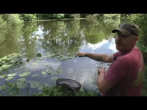 The Most Neglected Pond Ever