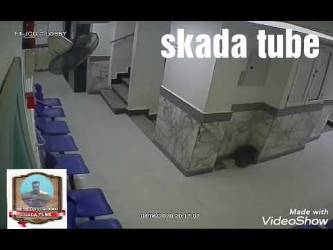 حرامى مبره العصافره مكافأه لمن يرشد عنه