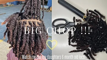 BIG CHOP !! 😮‍💨✂️ | Watch me cut my daughters 6 month old locs | Creolejazz