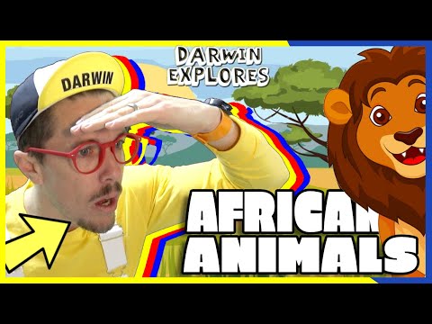 🦁 Kids African Animals | 🐆 Child Education Videos 🦍 - Kids Animal Learning Sounds and Fun 🦒 🦓