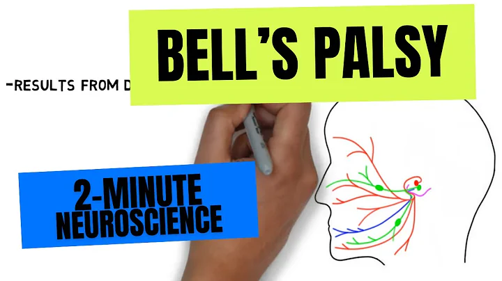 2-Minute Neuroscience: Bell's Palsy - DayDayNews