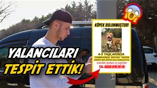 Sahte Köpek İlaniyla Yalancilari Tespi̇t Etmek 