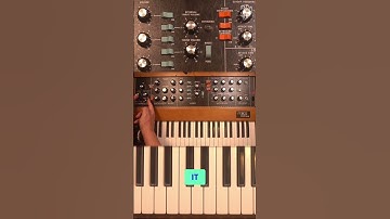 The Minimoog Reissue: Is it an improvement on the original?