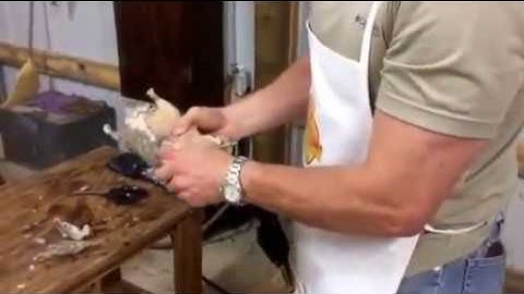 Traub Supply Duck Wax video