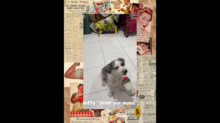 DUFFY &amp; BITOY HAIRCUT