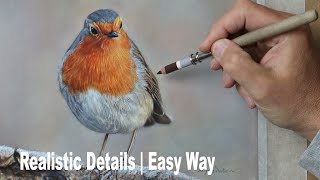 How to draw / paint a realistic  Robin | Tutorial ~  Pastel painting screenshot 1