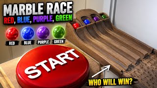 Marble Race: Red, Blue, Purple, Green
