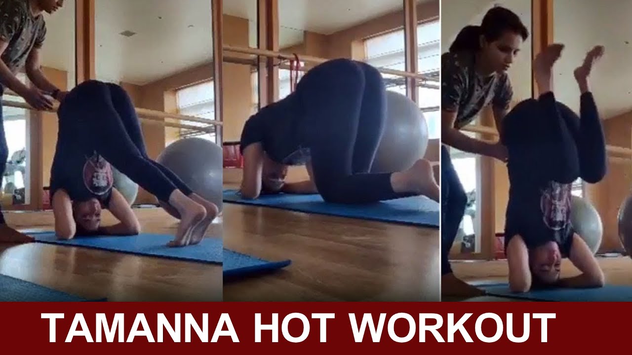 Download Actress Tamanna Hot Workout At Home | Tamanna Bhatia Viral Workout Video | Tollywood Updates