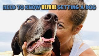 How to be a better dog owner by Tammy Bashore 810 views 1 year ago 8 minutes, 39 seconds