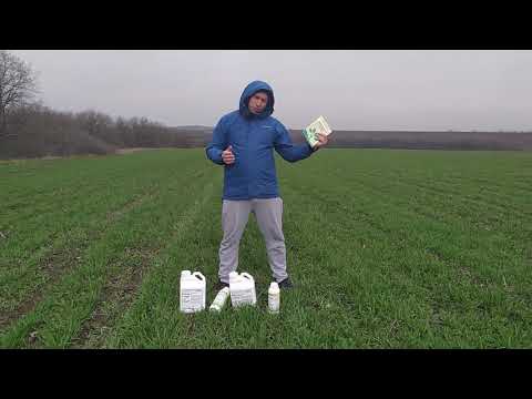 Биостимулятор роста Стимпо на Кукурузу. Стимулятор роста Стимпо с микроэлементами на Зерновые 25мл.