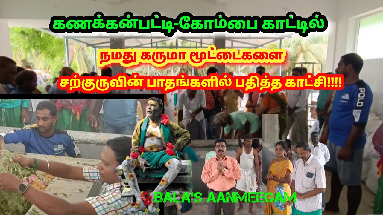 கணக்கன்பட்டி கோம்பை காட்டில் அய்யனின் அற்புத விழா..!!|கோம்பைகாடு|Bala's Aanmeegam
