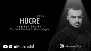 Mehmet Örgün - Hücre Resimi