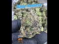 Blue Andeze (35% THCa) Exotic Indoor Flower | Blueberry Thin Mint Hybrid for Wholesale