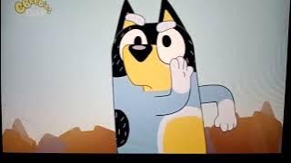Bluey Promo