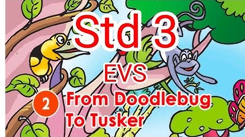 Std 3 EVS Kite victers online class supportive video Worksheet Link (In Description Box)