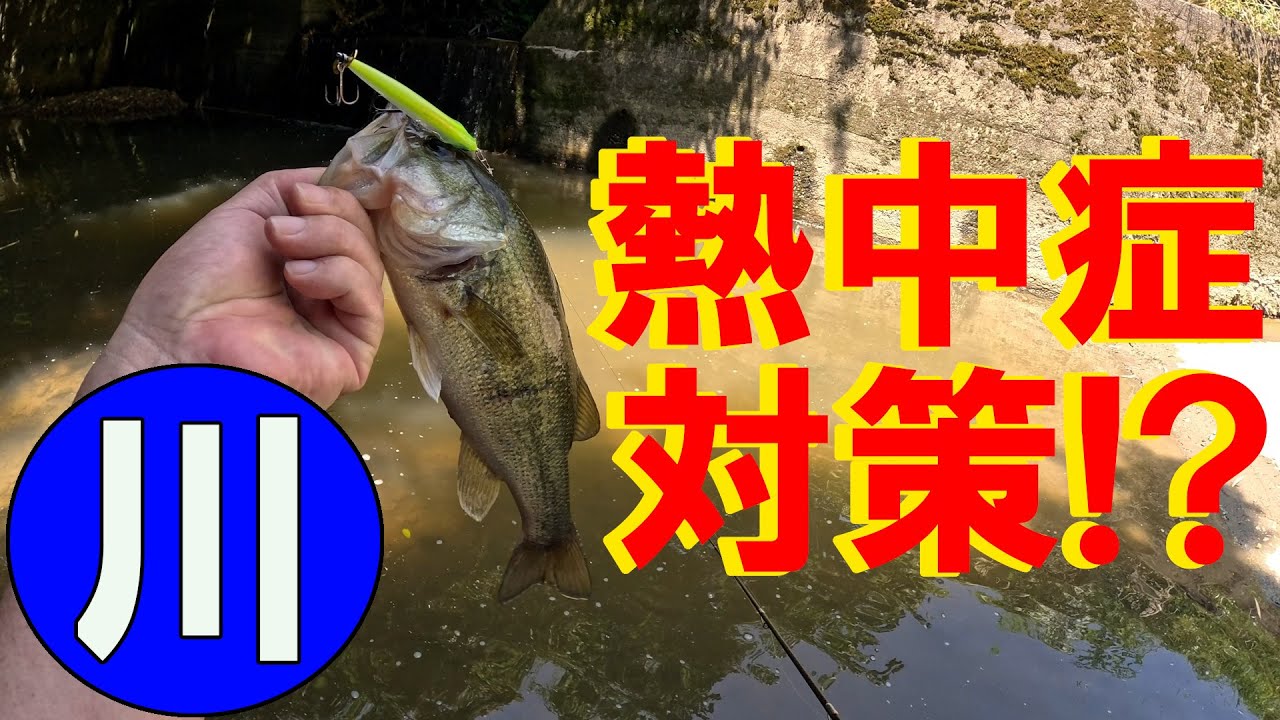 熱中症対策!! 涼を求めて川バス探し メガバス カラシスピナー