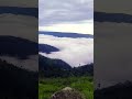 Beautiful scenery view of mawsynram #meghalaya #peace  #nature #mountains #relaxing #travel#trending