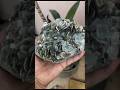 AQUAMARINE CRYSTAL CLEAR CLUSTER REVIEW | SO WHICH OF THE FAVOUR OF YOUR LORD WOULD YOU DENY OF?