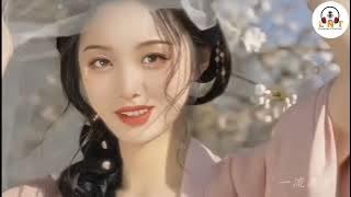 Dui Ji Qing Gan - 堆积情感   VOCAL