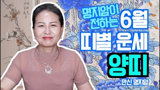 [용한무당 명지암] 2020년 양력 6월 띠별 운세 양띠 [남양주점집]