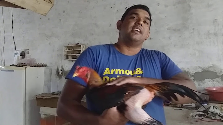 Manejo passo a passo como iniciar a pegada nos primeiros dias