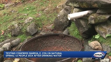 Testing confirms giardia, E. coli in natural spring; 15 people sick after drinking water
