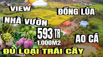 Chị Anh giảm giá bán tháo, Mảnh vườn tâm huyết gần Núi Chứa Chan, Xuân Lộc Đồng Nai